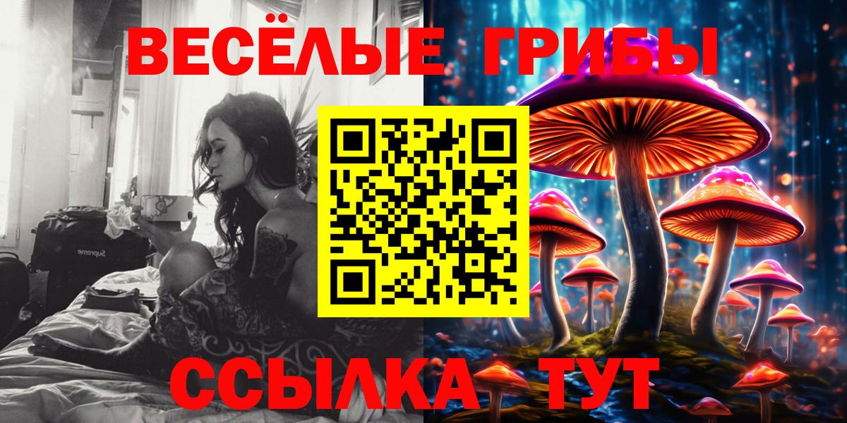 Ангарск  Галлюциногенные грибы MAGIC MUSHROOMS  Вход с VPN 