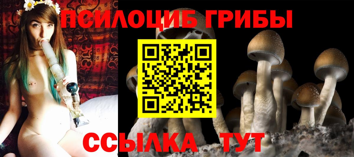 Галлюциногенные грибы Psilocybine cubensis Ангарск